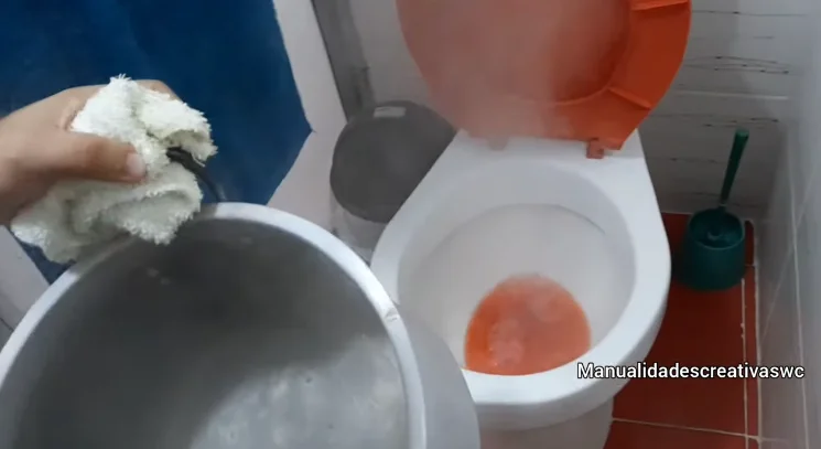Cómo destapar un baño con Frutiño